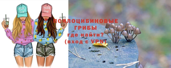 первитин Армянск