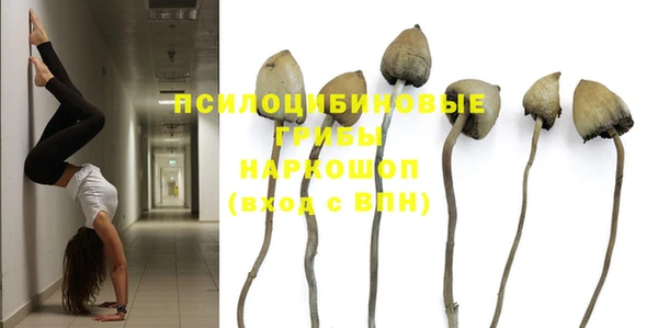 соль курить ск Арсеньев
