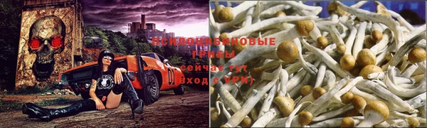 первитин Армянск