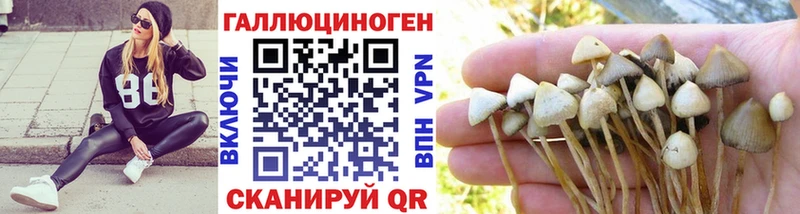 Псилоцибиновые грибы GOLDEN TEACHER  цена   Хвалынск 